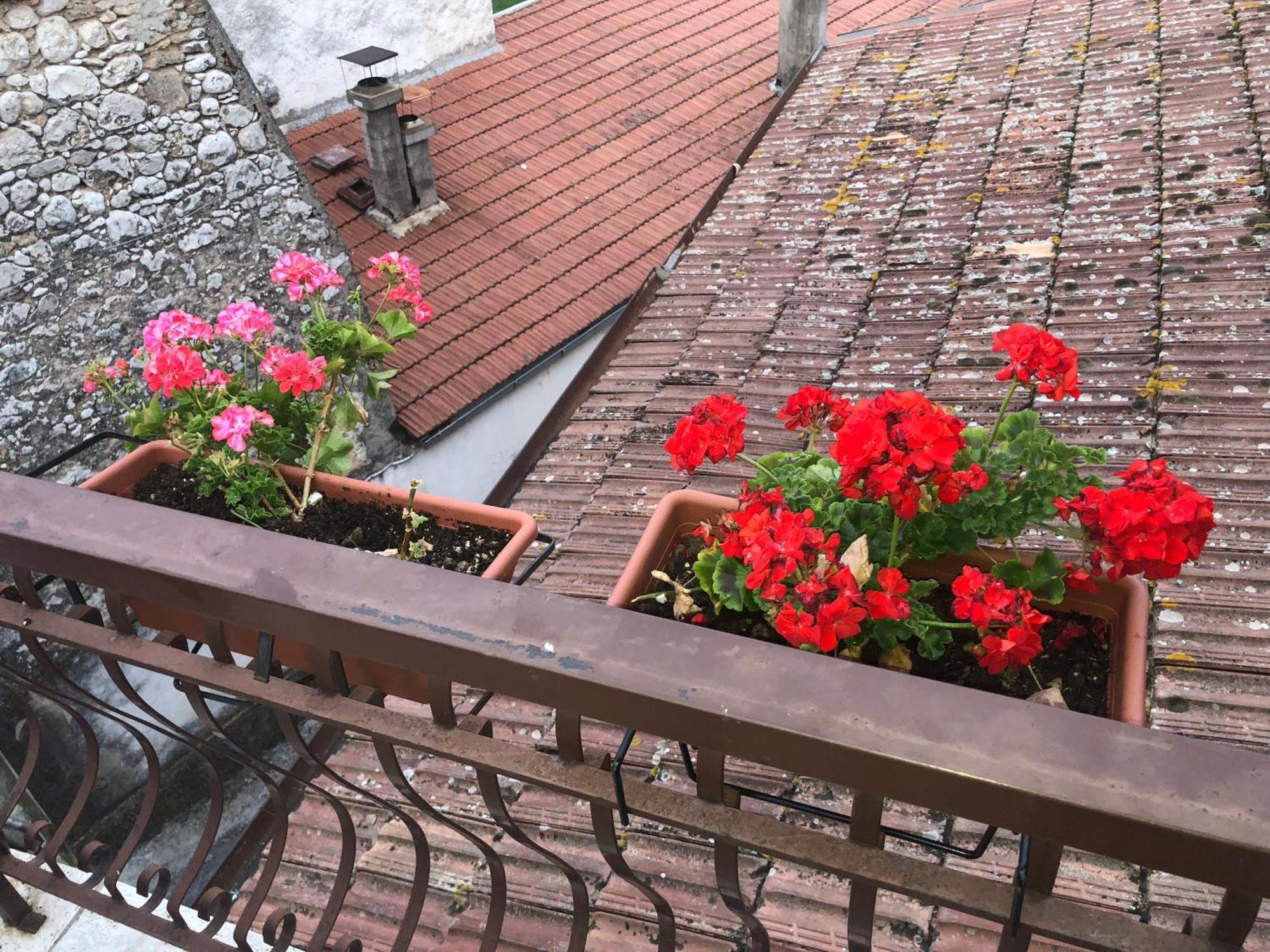Bed And Breakfast Il Cavaliere Pozzilli Экстерьер фото